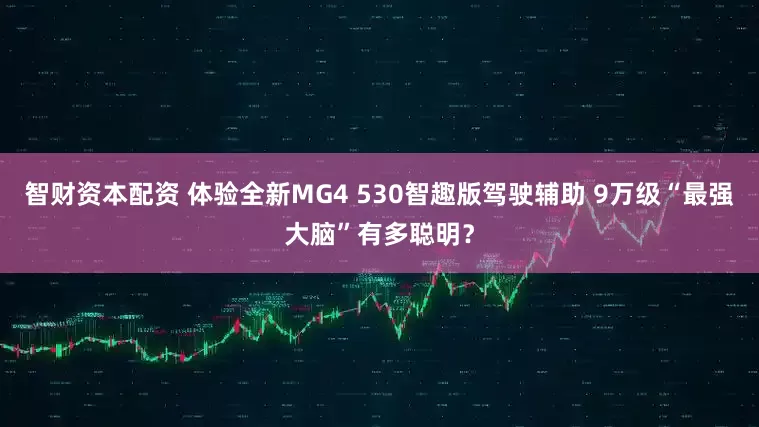 智财资本配资 体验全新MG4 530智趣版驾驶辅助 9万级“最强大脑”有多聪明？