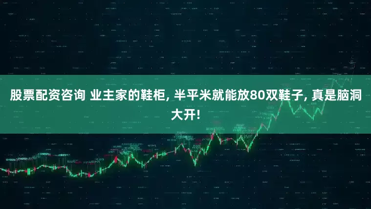 股票配资咨询 业主家的鞋柜, 半平米就能放80双鞋子, 真是脑洞大开!