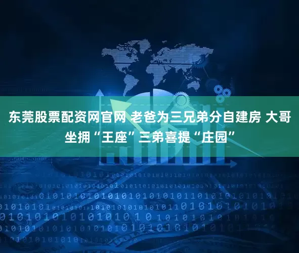 东莞股票配资网官网 老爸为三兄弟分自建房 大哥坐拥“王座”三弟喜提“庄园”