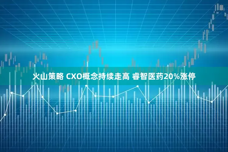 火山策略 CXO概念持续走高 睿智医药20%涨停